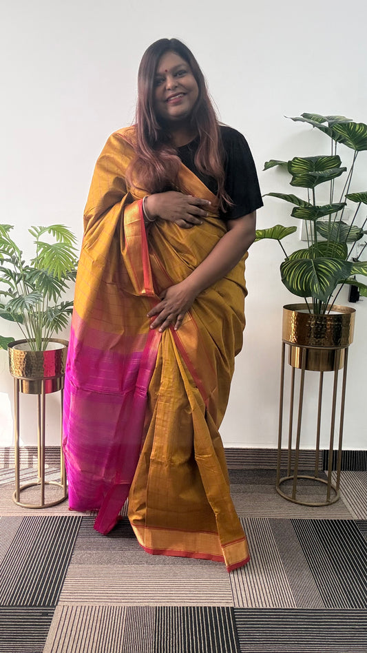 Roshni Vaayu Saree